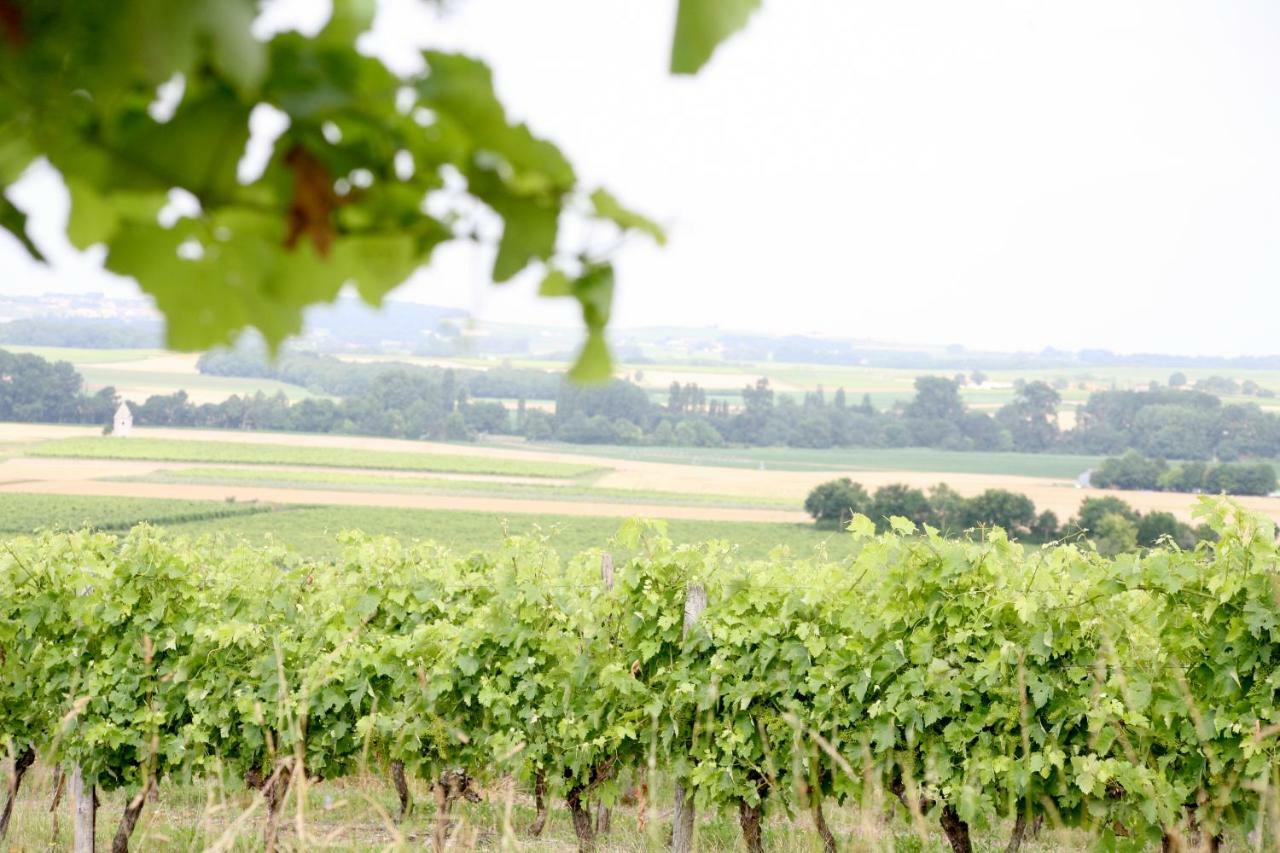 Bed and Breakfast Au Coeur Des Vignes Archiac Zewnętrze zdjęcie